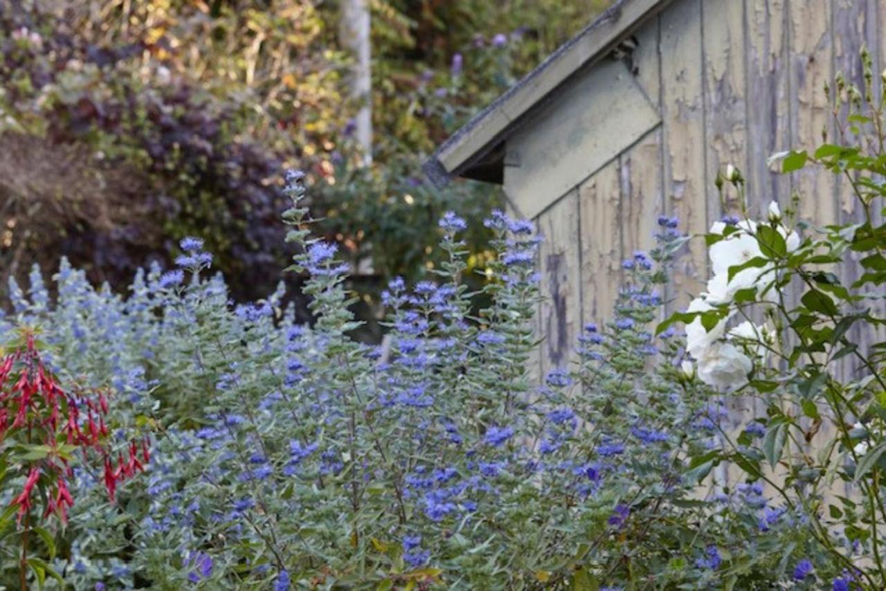 Lavender Cottage Beer Exteriér fotografie